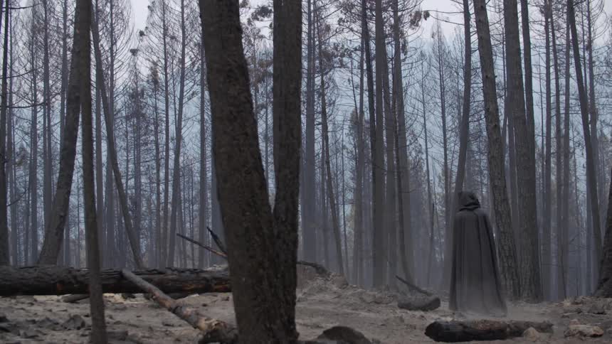 A black-cloaked figure travelling through the woods