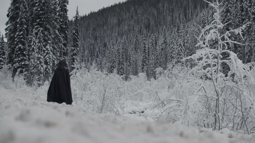 A cloaked figure stands in snowy woods