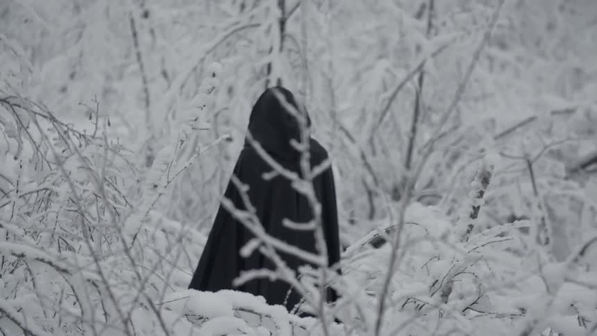 A man wearing black robes is standing in a snow covered forest