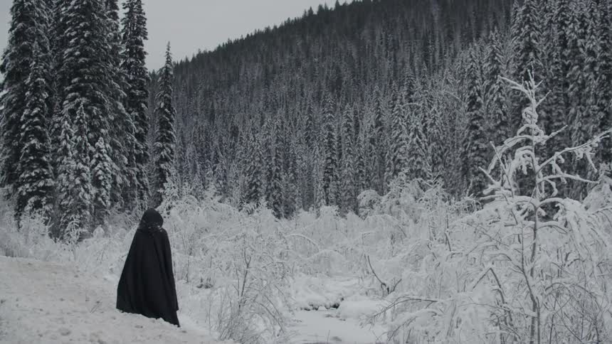 A cloaked figure stands in snowy woods