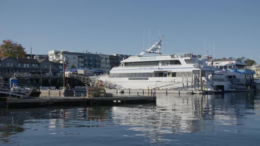 Yacht floats at dock near apartment buildings