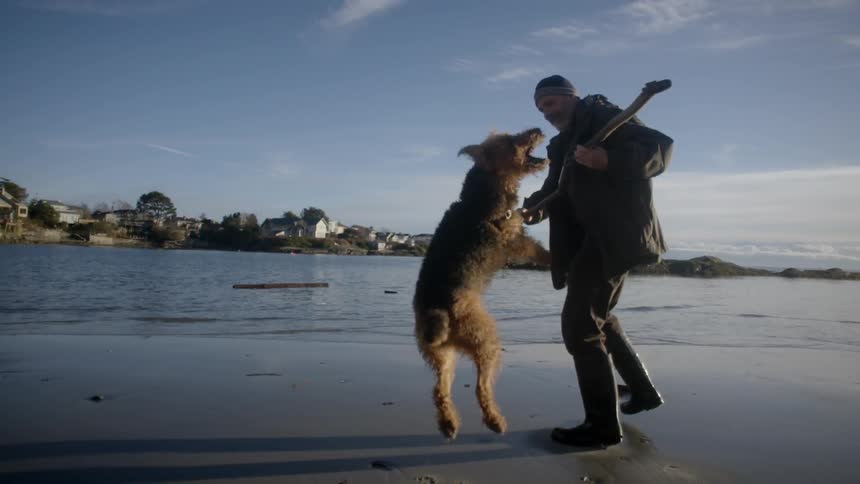 An older man plays with a large dog by the shore
