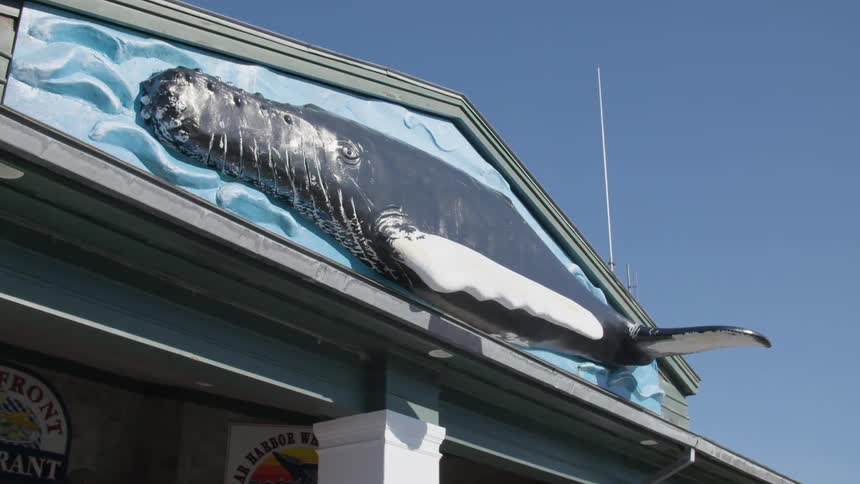 A large fish on a sign on a building
