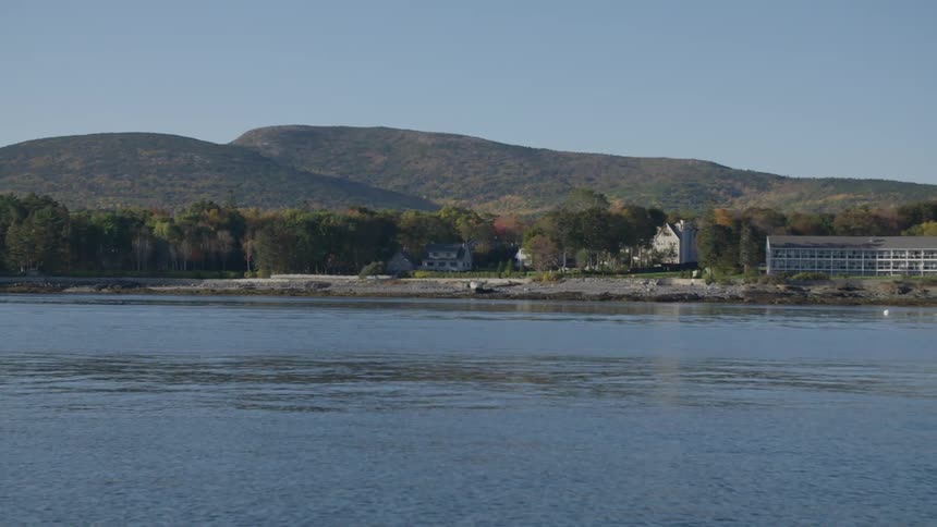Waterfront buildings at day