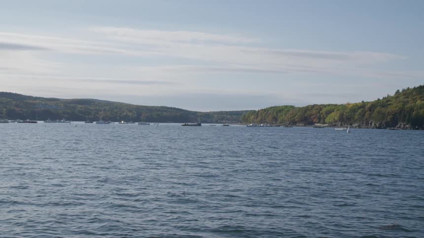 Boats are anchored off a rocky and tree covered shore on a sunny day