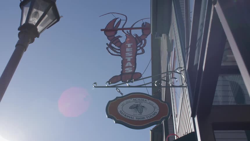 A lobster shaped sign hangs on a business