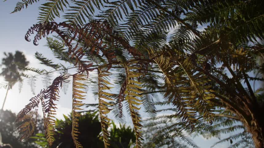 People standing by trees with the sky up above