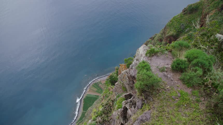 A cliff near the coast with plants and trees