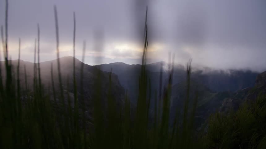 Heavy clouds obscure a mountain scene with reeds in the foreground