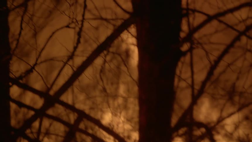 Smoke and fire blazing in a wooded area