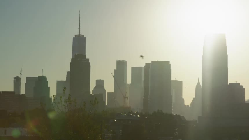 Sun glares over skyscrapers as bird flies by
