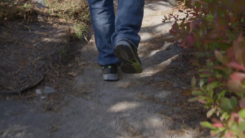 Person wearing jeans walks along path between lawn and bushes