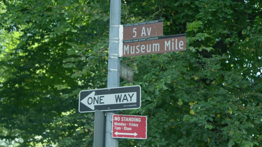 Street and traffic signs sit on pole next to tree