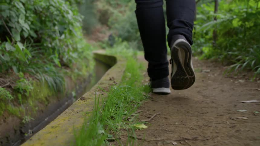 Two people walk towards one another on a path next to a treed area