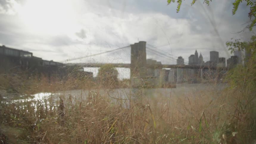 A bridge and downtown city area beyond a small body of water