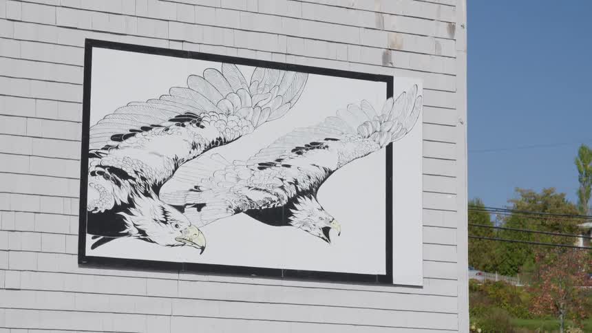 Artwork of eagles posted on the facade of a building