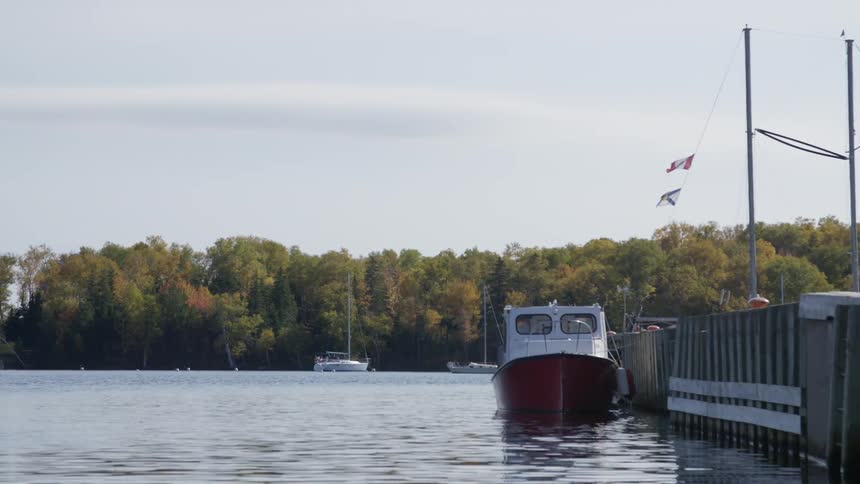 A boat parked at a dock on a lake