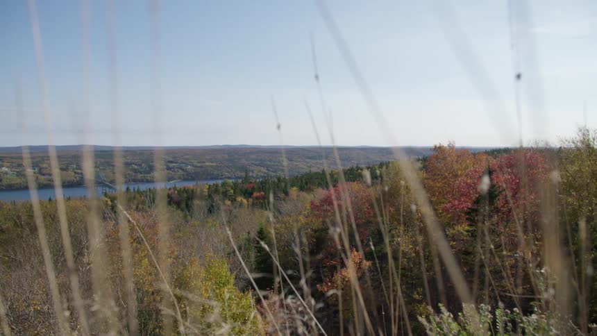 A river runs through a largely forested area