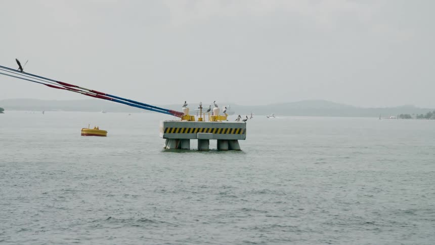 Birds on a moored buoy in the water