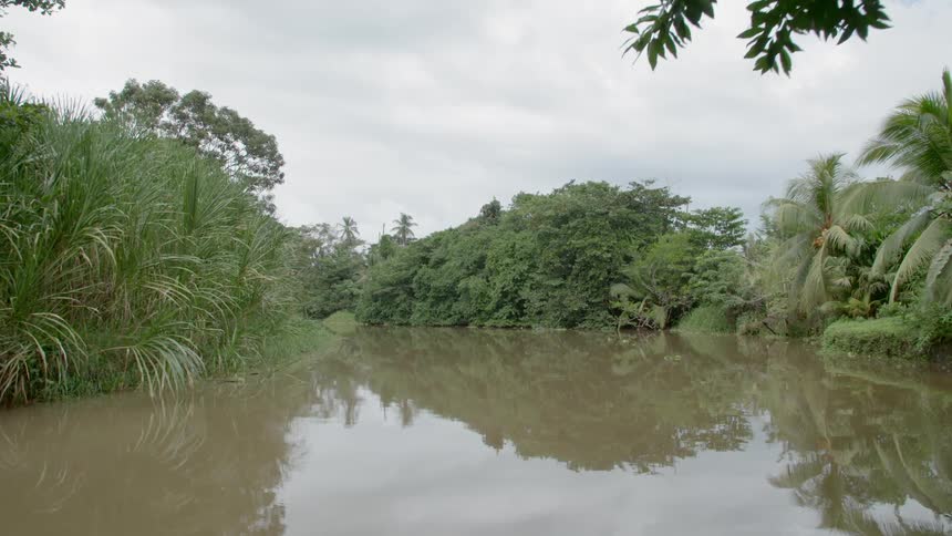 Muddy river water reflects grass and trees on riverbanks