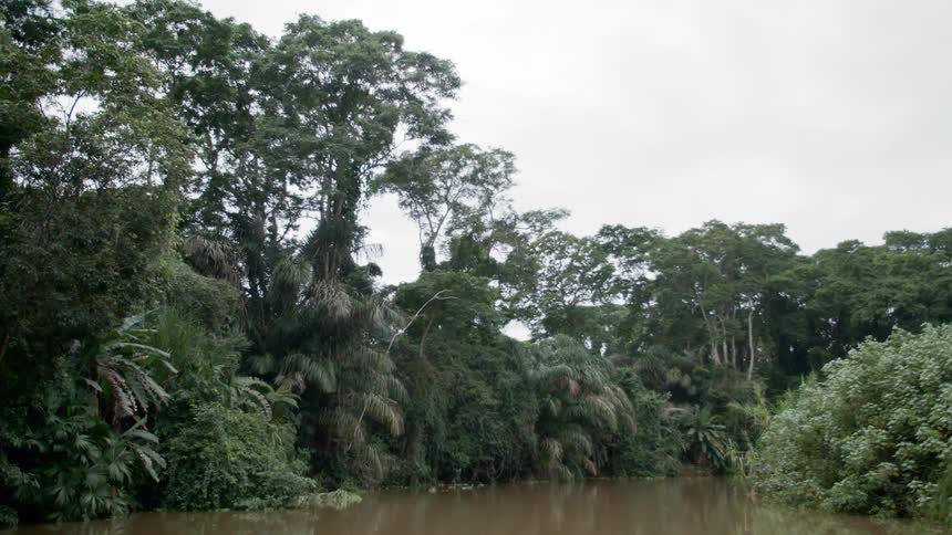 A river with trees on both sides