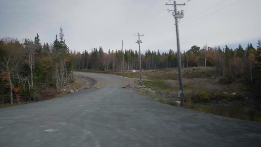 A road with forest on both sides