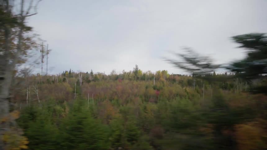 Trees and fields sit under the cloudy sky