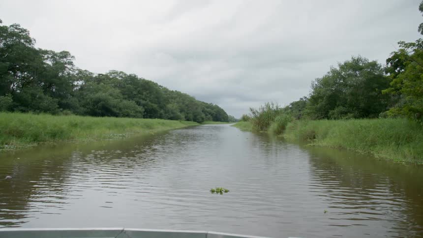Boat travels along river past woods and grass covered banks