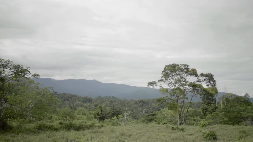The hills are covered in green vegetation