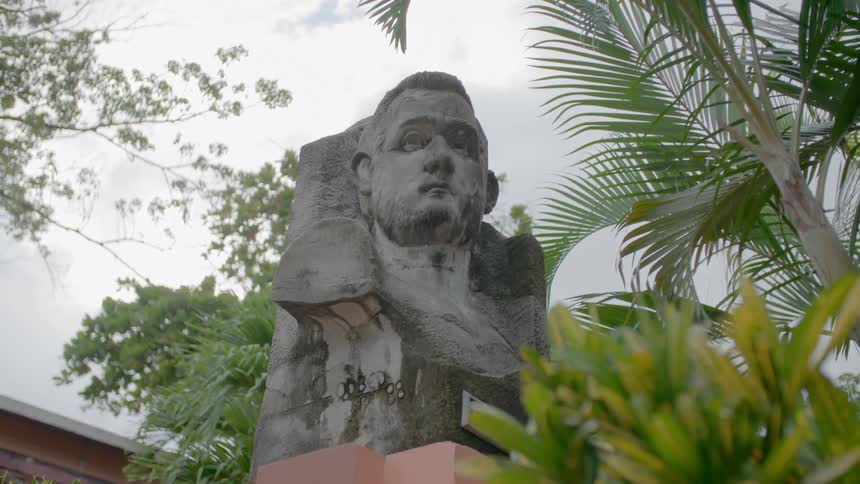 A statue of a mans face is surrounded by lush plants and palm trees
