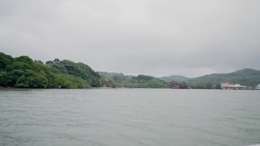 The forested coastline of a landmass on a cloudy day