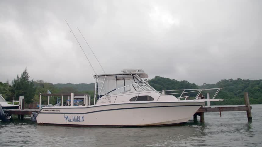 A boat tied to a dock
