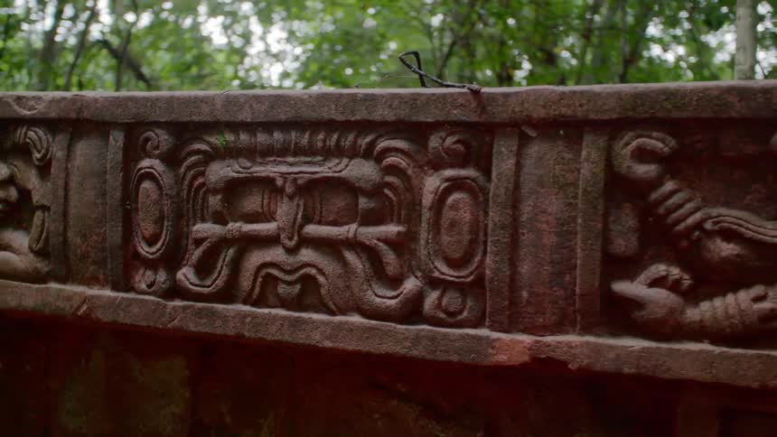 An ancient carving sits in the jungle