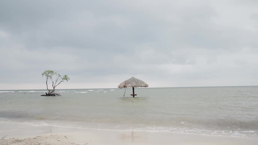 Umbrella made of palm leaves stands on the water in a beach at day