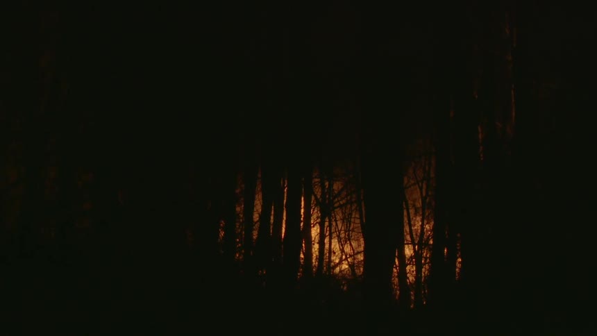 A fire is burning in a forest in the distance at night