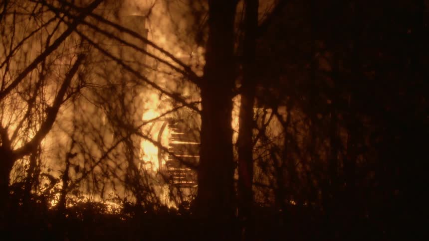 A fire is raging in a forest at night