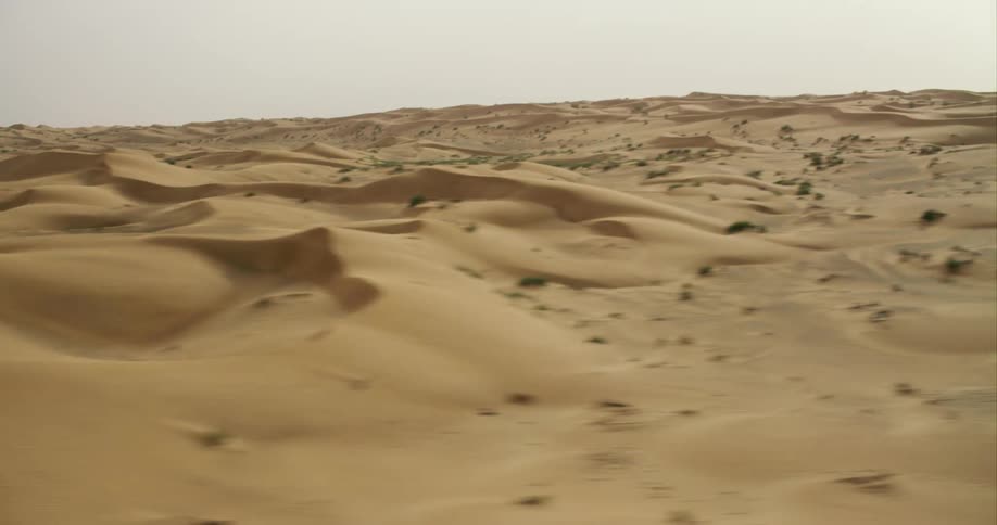 Sand in the desert resembles waves with ridges and peaks and has green brush