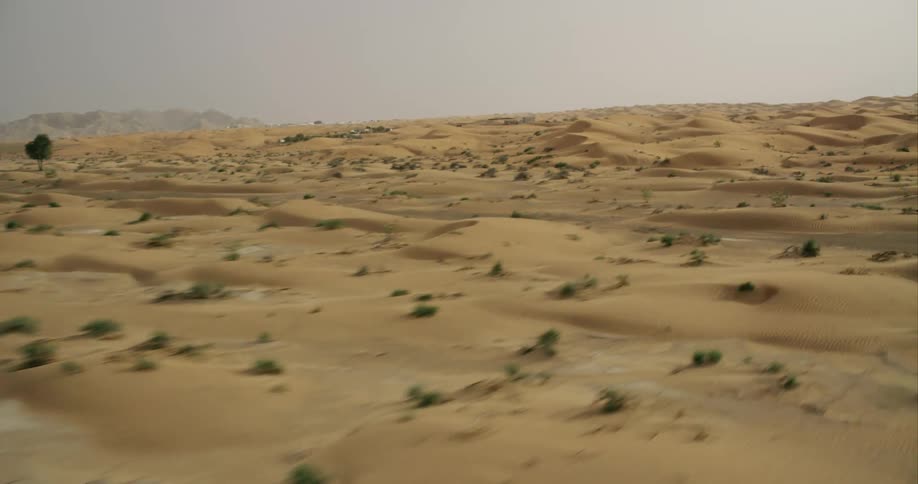 A desert with scrub and sand dunes