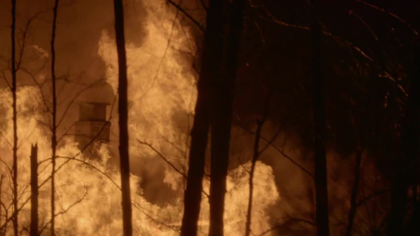 A fire burns a structure behind the trees at night
