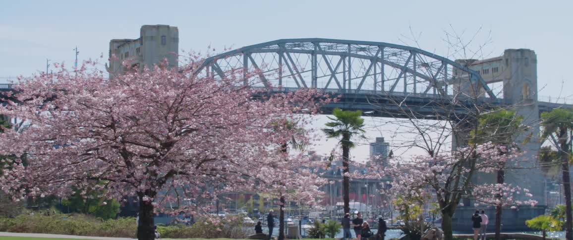 View of a bridge and people walking in the public park