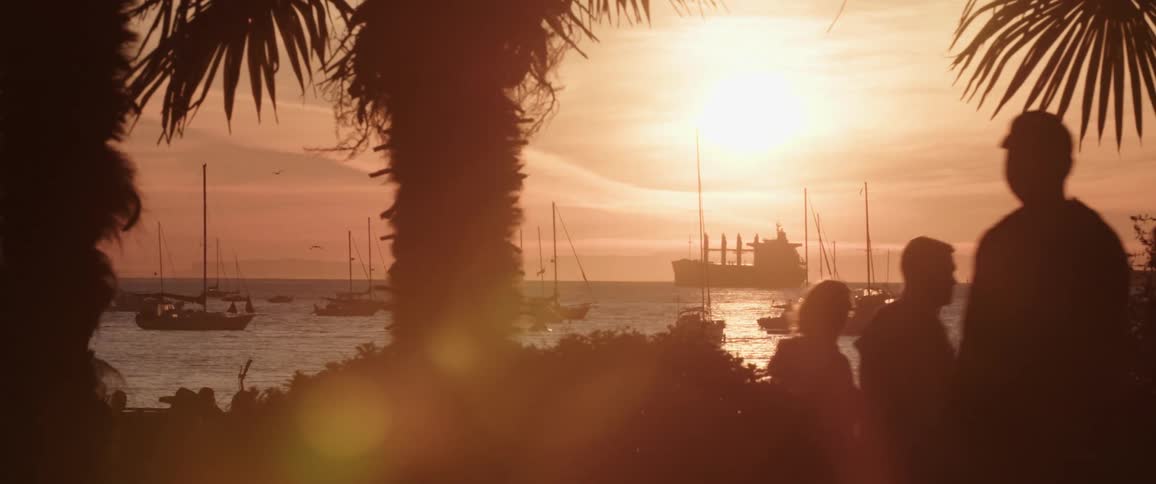 A marina at low sun