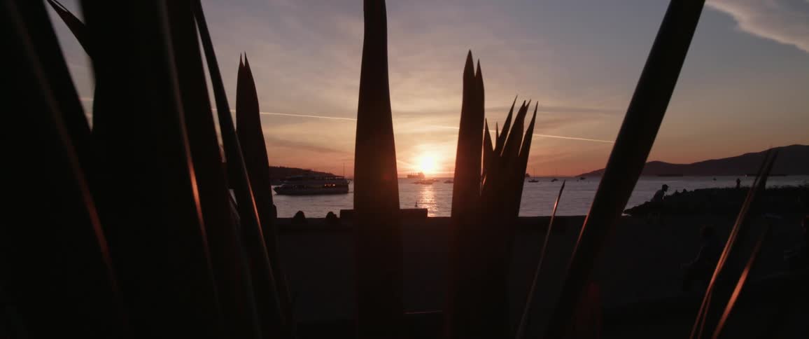 A plant with people on the shore in the background
