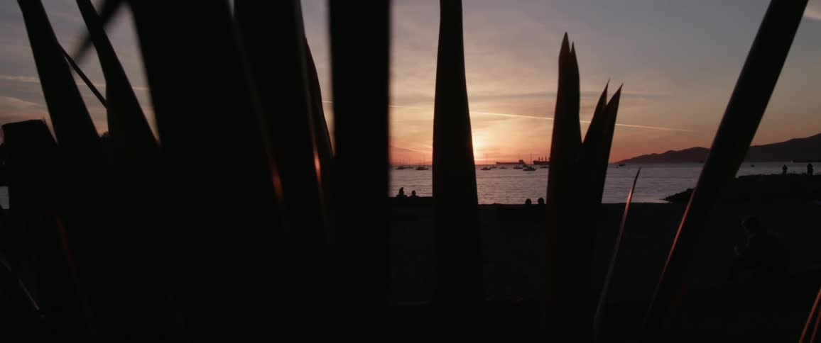 The sun goes down over the sea and with the public park silhouette in the background