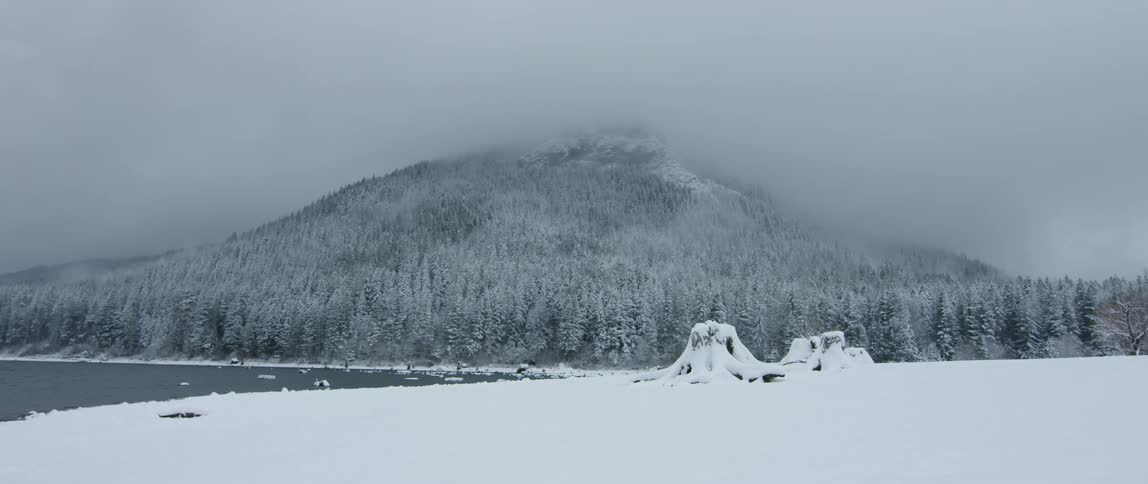 Snow covers stumps by the shore of a lake
