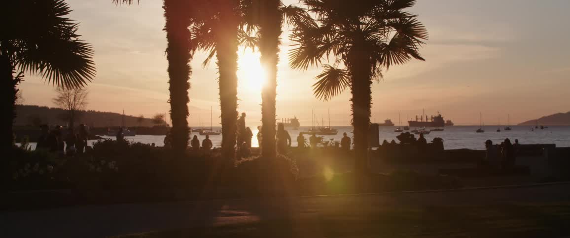 Bicyclist rides by a crowd of people on a beach near the palm trees as the sun sets