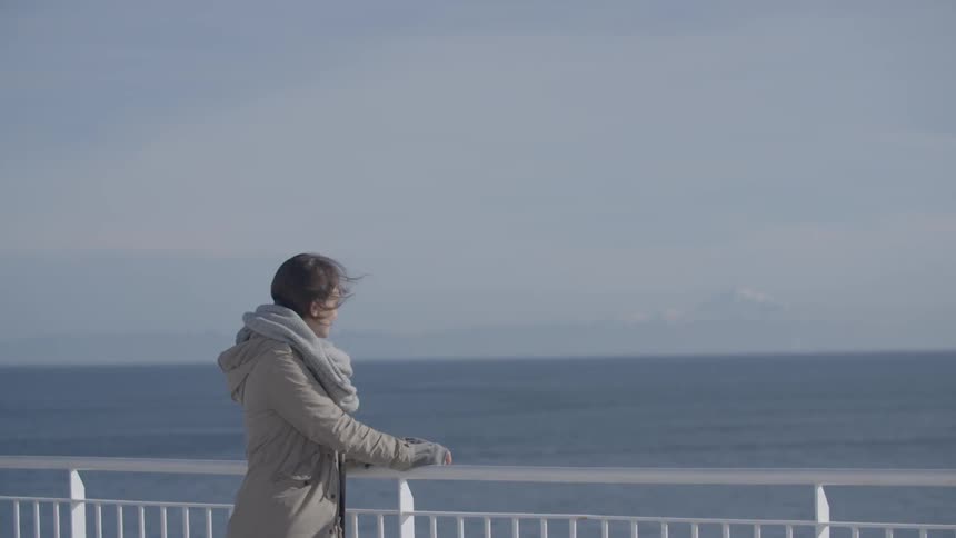 A woman is leaning against a railing watching the water
