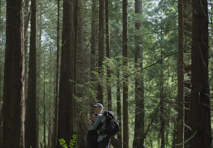 A man and woman hug each other inside a large forest area
