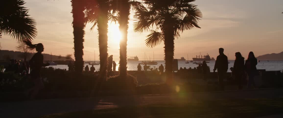 People walk cycle and run in the public park at dusk