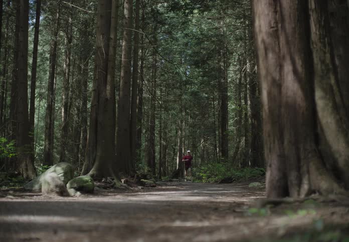 A person running in a forest on a pathway surrounded by trees