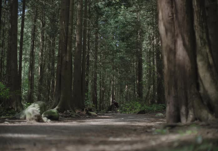 Man runs through the forest then stops to turn around then resumes running